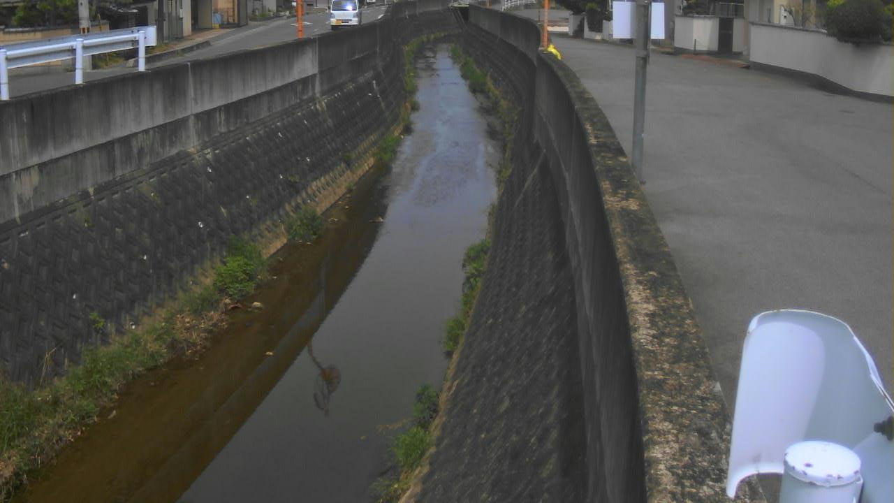 信貴川 勢野東のライブカメラ|奈良県三郷町のサムネイル