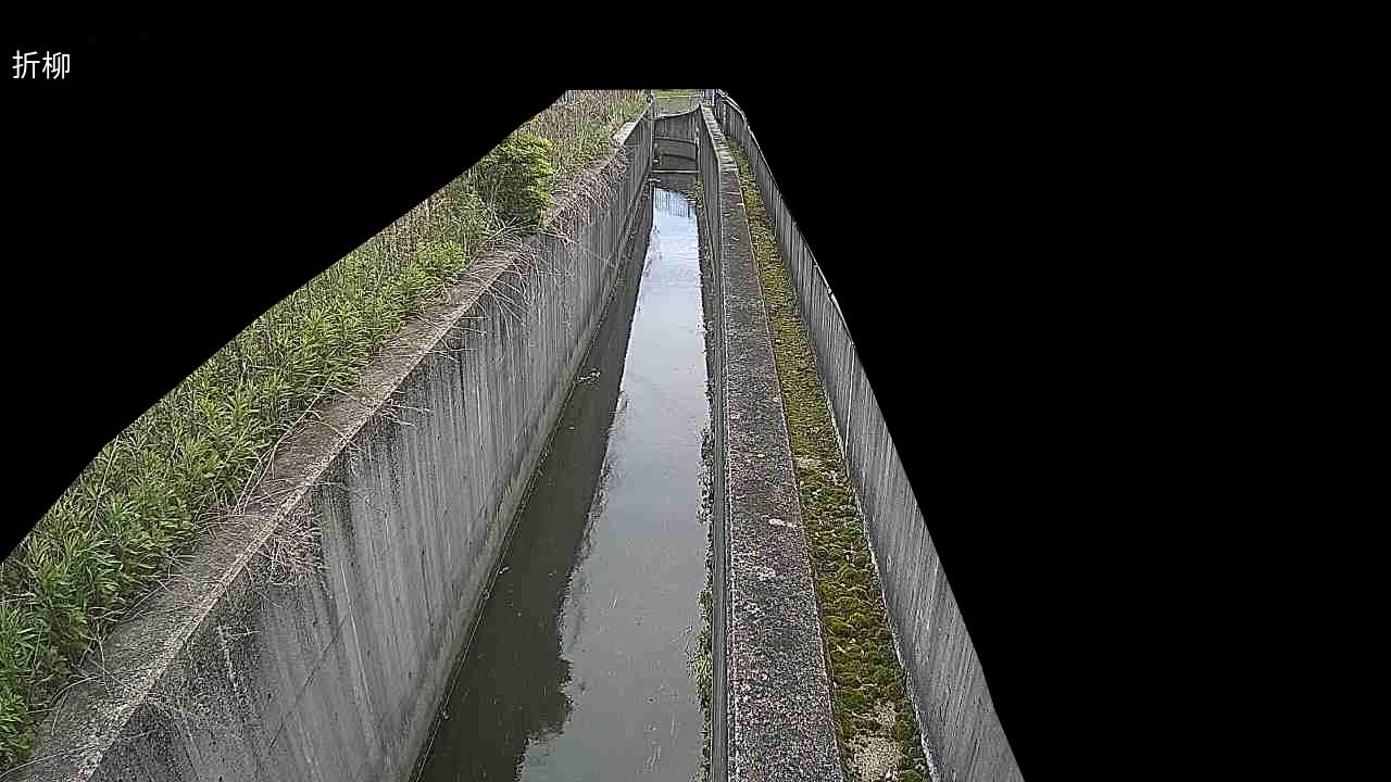 新堂川 折柳井堰のライブカメラ|奈良県橿原市のサムネイル