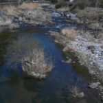 青蓮寺川 伊賀見のライブカメラ|奈良県曽爾村のサムネイル