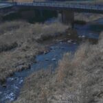 青蓮寺川 曽爾のライブカメラ|奈良県曽爾村のサムネイル