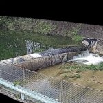 曽我川 古井井堰のライブカメラ|奈良県橿原市のサムネイル