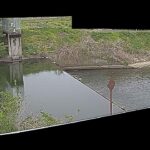 曽我川 今樋井堰のライブカメラ|奈良県橿原市のサムネイル
