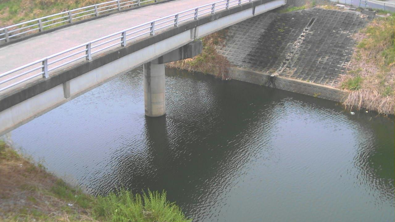 曽我川 大網のライブカメラ|奈良県田原本町のサムネイル