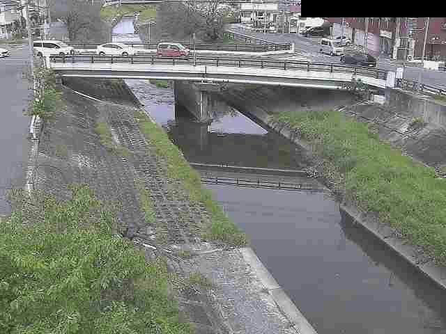 高田川 磐築橋のライブカメラ|奈良県大和高田市のサムネイル
