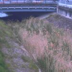 高瀬川 横田のライブカメラ|奈良県大和郡山市のサムネイル