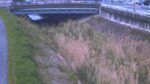 高瀬川 横田のライブカメラ|奈良県大和郡山市のサムネイル
