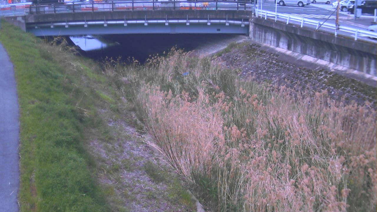 高瀬川 横田のライブカメラ|奈良県大和郡山市のサムネイル