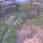 竜田川 谷田のライブカメラ|奈良県生駒市のサムネイル