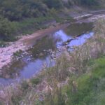 寺川 石見のライブカメラ|奈良県三宅町のサムネイル