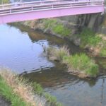 大和川 黒崎のライブカメラ|奈良県桜井市のサムネイル