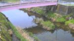 大和川 黒崎のライブカメラ|奈良県桜井市のサムネイル