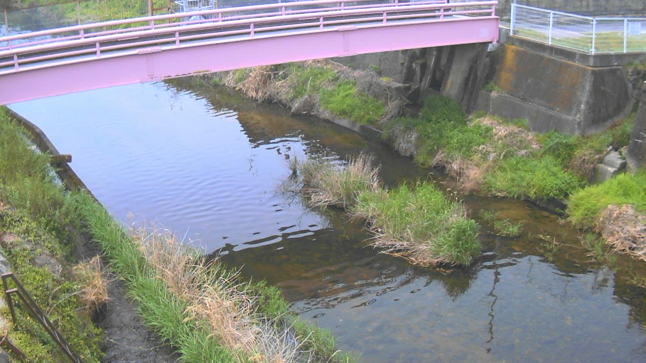 大和川 黒崎のライブカメラ|奈良県桜井市のサムネイル