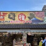 ギャラリー雅から小町通りのライブカメラ|神奈川県鎌倉市のサムネイル