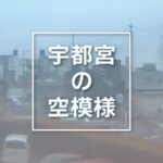 下野新聞本社から県庁前通りのライブカメラ|栃木県宇都宮市のサムネイル