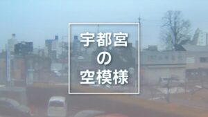 栃木県宇都宮市 下野新聞本社から県庁前通りのライブカメラ