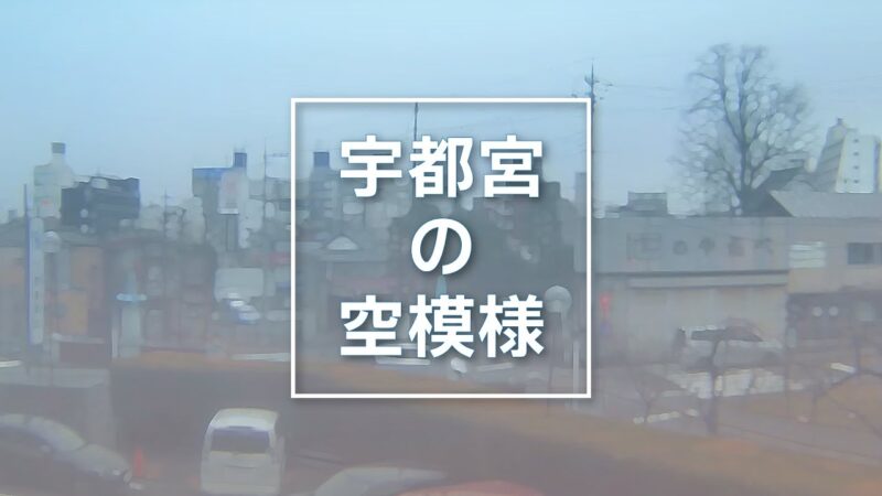 下野新聞本社から県庁前通りのライブカメラ|栃木県宇都宮市のサムネイル