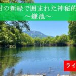 鎌池のライブカメラ|長野県小谷村のサムネイル