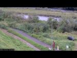 埼玉県道・群馬県道416号利根川自転車道線 利根川自転車道・大渡緑地公園のライブカメラ|群馬県前橋市のサムネイル